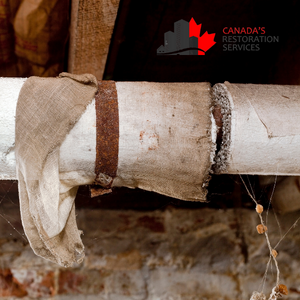 asbestos removal Toronto