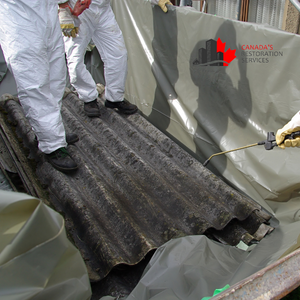 asbestos removal services Toronto