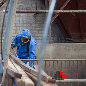 asbestos removal services