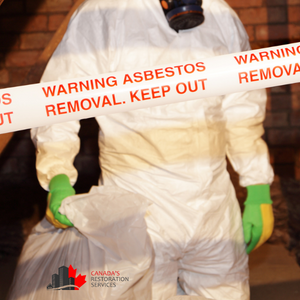 asbestos abatement contractors