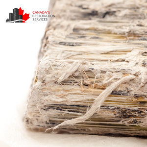 asbestos testing Edmonton