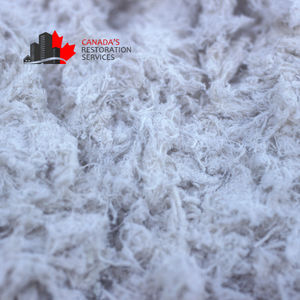 asbestos removal costs Toronto