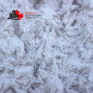 asbestos testing and removal Toronto