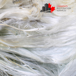 asbestos testing Toronto