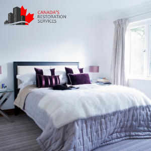 Bedroom mold inspection in edmonton