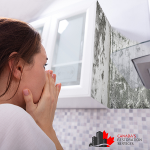 black mold removal Toronto