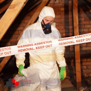 asbestos abatement contractors