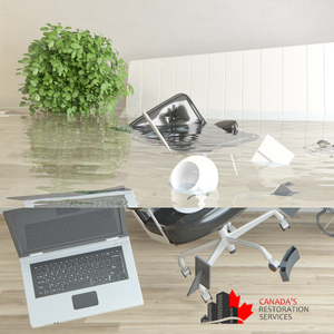 flood cleanup services