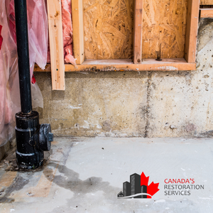 flooded basement water damage restoration