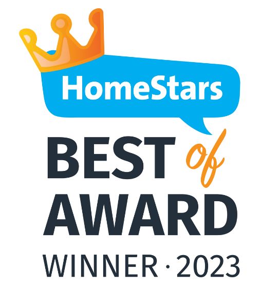 mold removal services award 2023