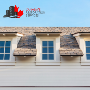 mold removal and asbestos testing in edmonton home