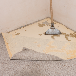 black mold removal Vancouver