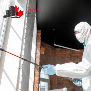 mold removal in vancouver trained technician with tools