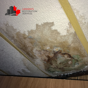 water damage restoration Toronto