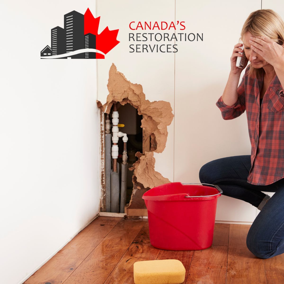 flood and mold removal services Toronto