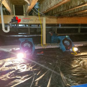 mold and water damage restoration from crawl space