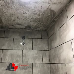 shower black mold removal Toronto