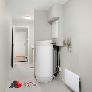 water damage and mold on walls Barrie