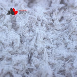 asbestos removal Toronto