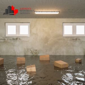 flooded basement