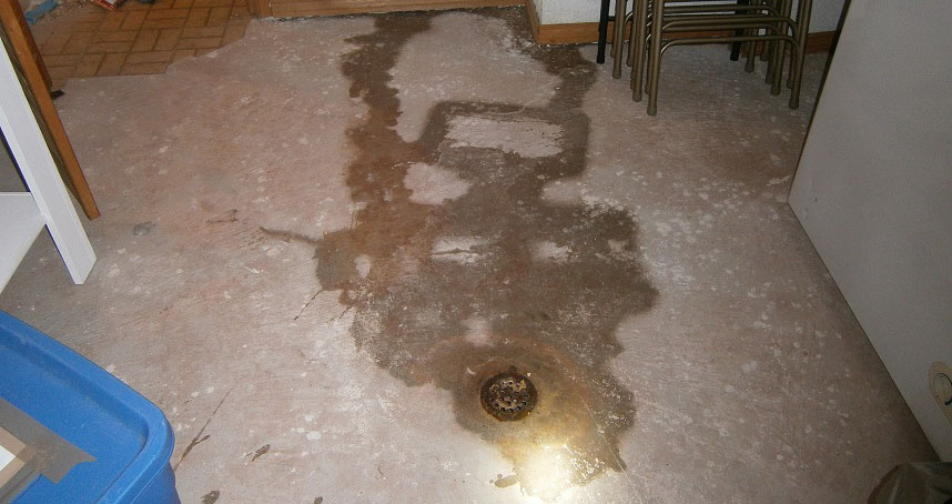 Mold Remediation Near Me