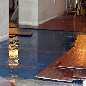 How to Prevent Water Damage in Your Toronto Home