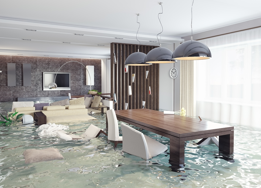 Prevent Water Damage & Get Water Damage Cleanup Services
