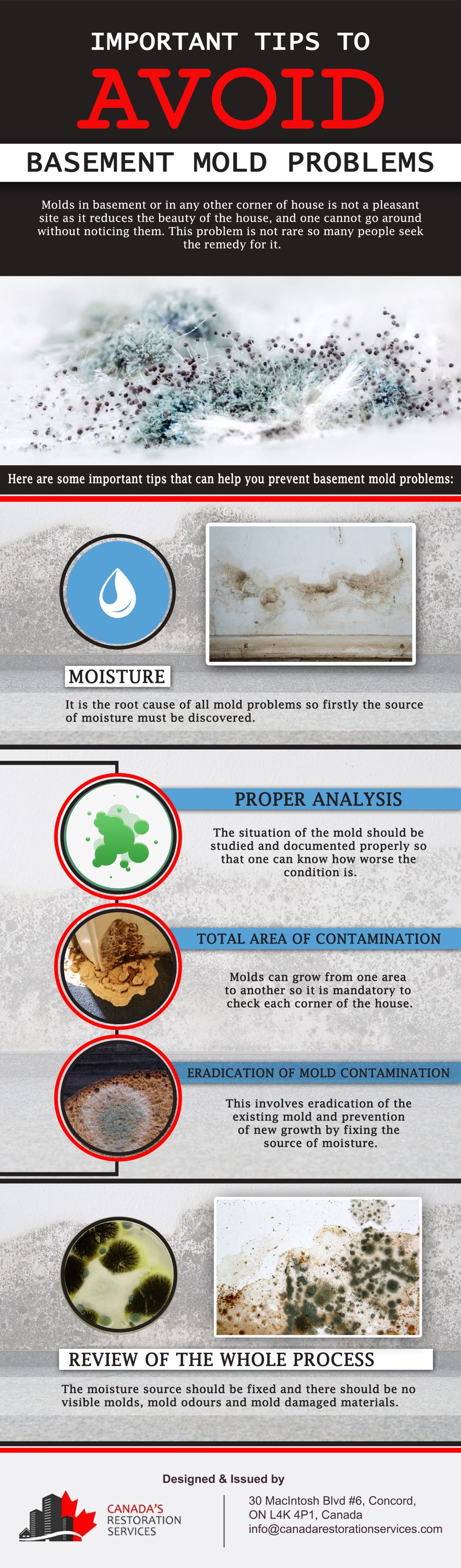 Important Tips to Avoid Basement Mold Problems