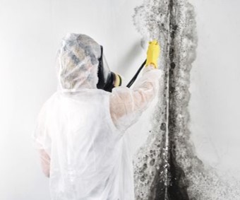Mold Removal Toronto by Canada's Restoration Services