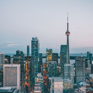 mold removal toronto