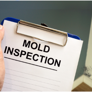 mold inspection Toronto
