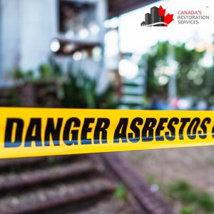 asbestos removal diy