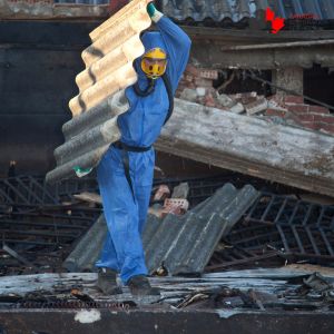asbestos removal edmonton