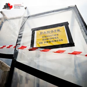 asbestos removal mississauga