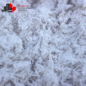 asbestos removal ottawa