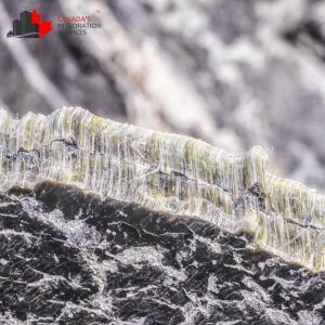 asbestos removal toronto