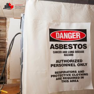 asbestos removal toronto