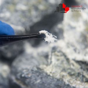 asbestos removal toronto