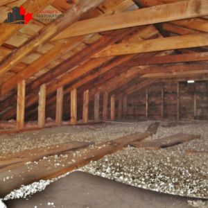 asbestos removal toronto