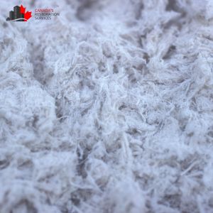 Asbestos Removal