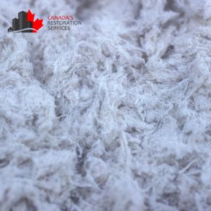 asbestos removal in toronto