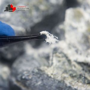 asbestos removal toronto