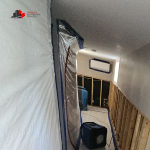 attic asbestos removal