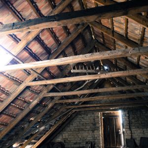 Top 3 Signs You Need a Certified Mold Remediation Company for Your Attic