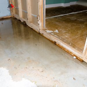 The Hidden Dangers of Ignoring Basement Water Damage