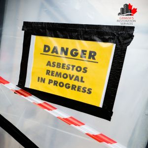 asbestos abatement