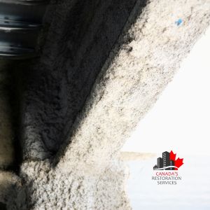 asbestos removal Toronto