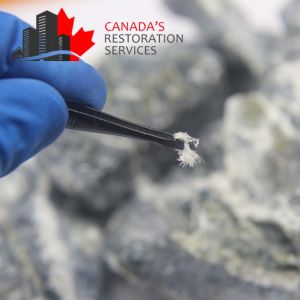 asbestos testing