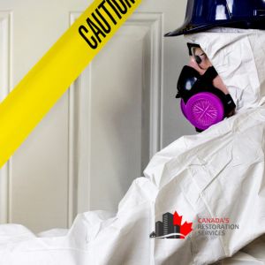 best asbestos removal company