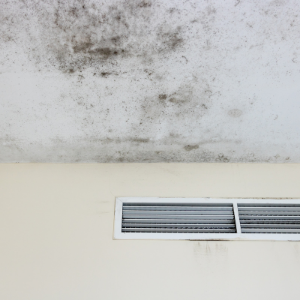 mold in ceiling 